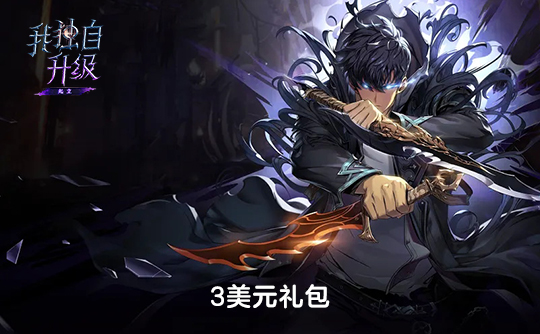 3美元礼包（国际服）上号代充 我独自升级：Arise