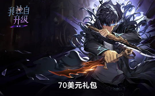 70美元礼包（国际服）上号代充 我独自升级：Arise